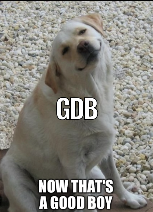 gdb-good-boy